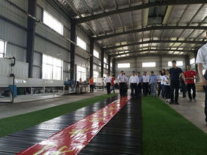 湖南省長許達哲親臨桃花江竹材科技