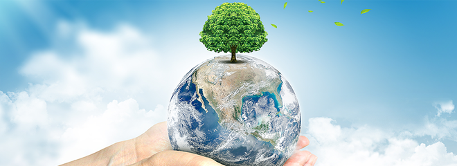 京澤港域環(huán)保科技