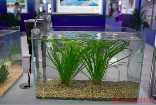 來高交會,見證環(huán)保科技新力量