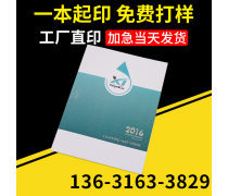動(dòng)漫設(shè)計(jì)宣傳畫(huà)冊(cè) 創(chuàng)意與視覺(jué)的完美融合